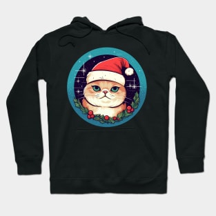 Exotic Shorthair Cat Xmas, Love Cats Hoodie